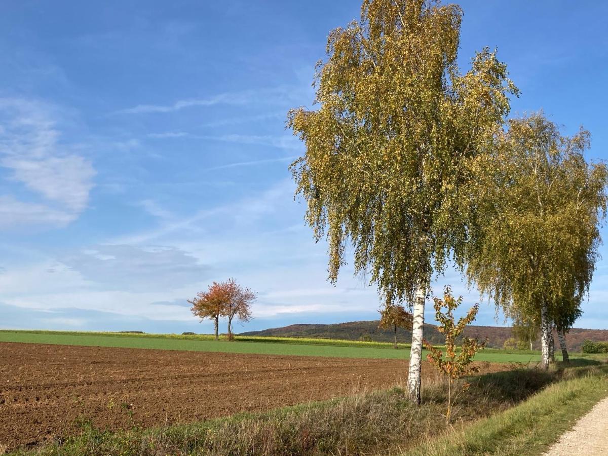 Ferienwohnung Franken Hallerndorf Εξωτερικό φωτογραφία